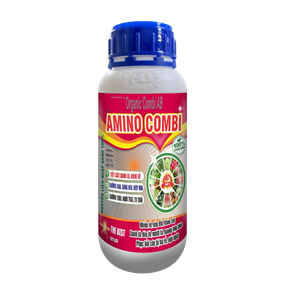 AMINO COMBI